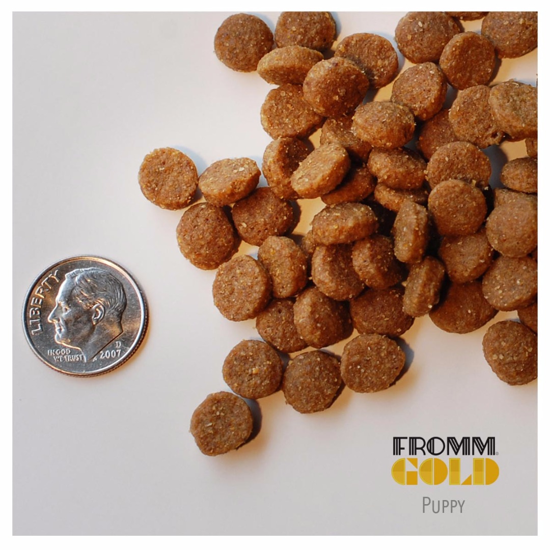 Fromm | Puppy Gold Dog Food - Lucky Pet, LLC