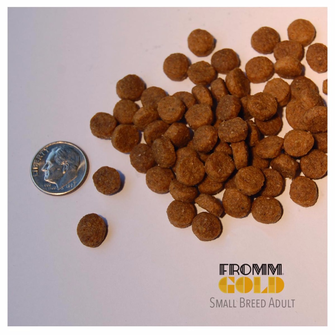 fromm dog food gold small breed adult